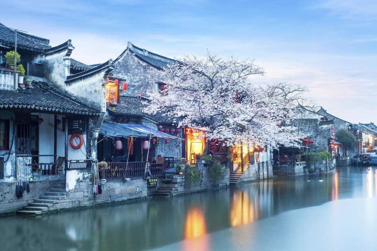 小猫钓鱼游戏龙王版有船